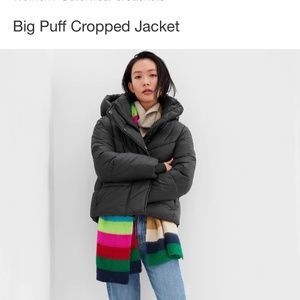 BNWT Gap Big Puff Jacket